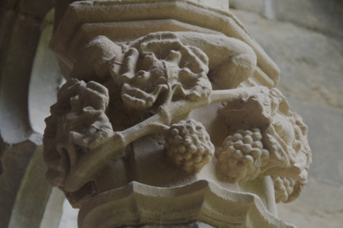 Capitel claustro de la Oliva vides